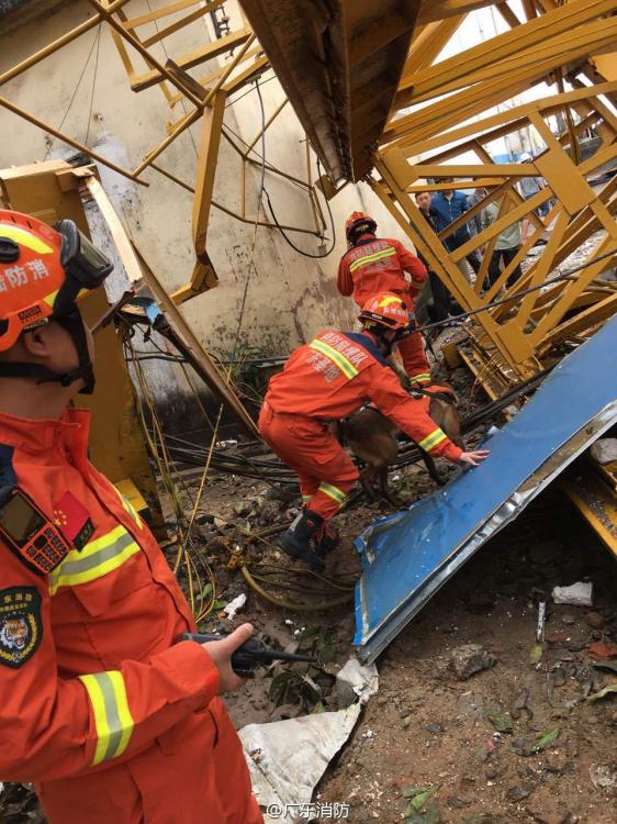 東莞事故最新進(jìn)展，深度剖析事故原因與應(yīng)對(duì)策略