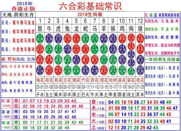 2024澳門正版資料大全資料生肖卡,高速響應(yīng)方案設(shè)計(jì)_進(jìn)階版11.707