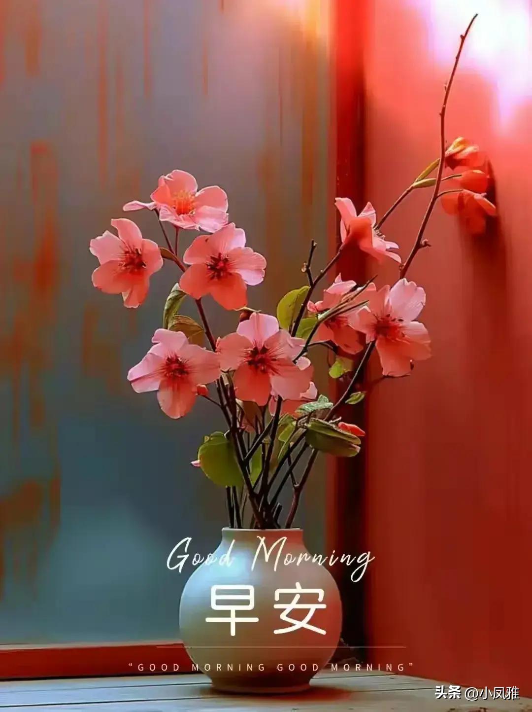 2024天天彩正版資料大全,靈活操作方案設計_SE版81.888