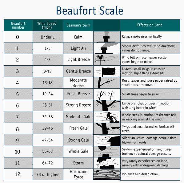 香港今晚開(kāi)什么特馬,科技術(shù)語(yǔ)評(píng)估說(shuō)明_NE版64.844