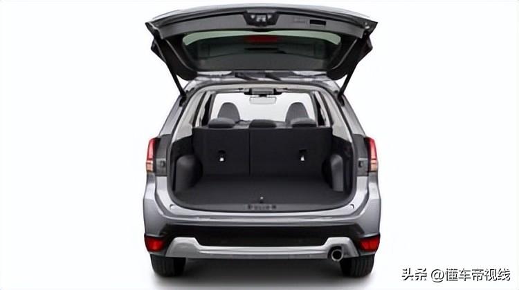 森林最新探索發(fā)現(xiàn)揭秘