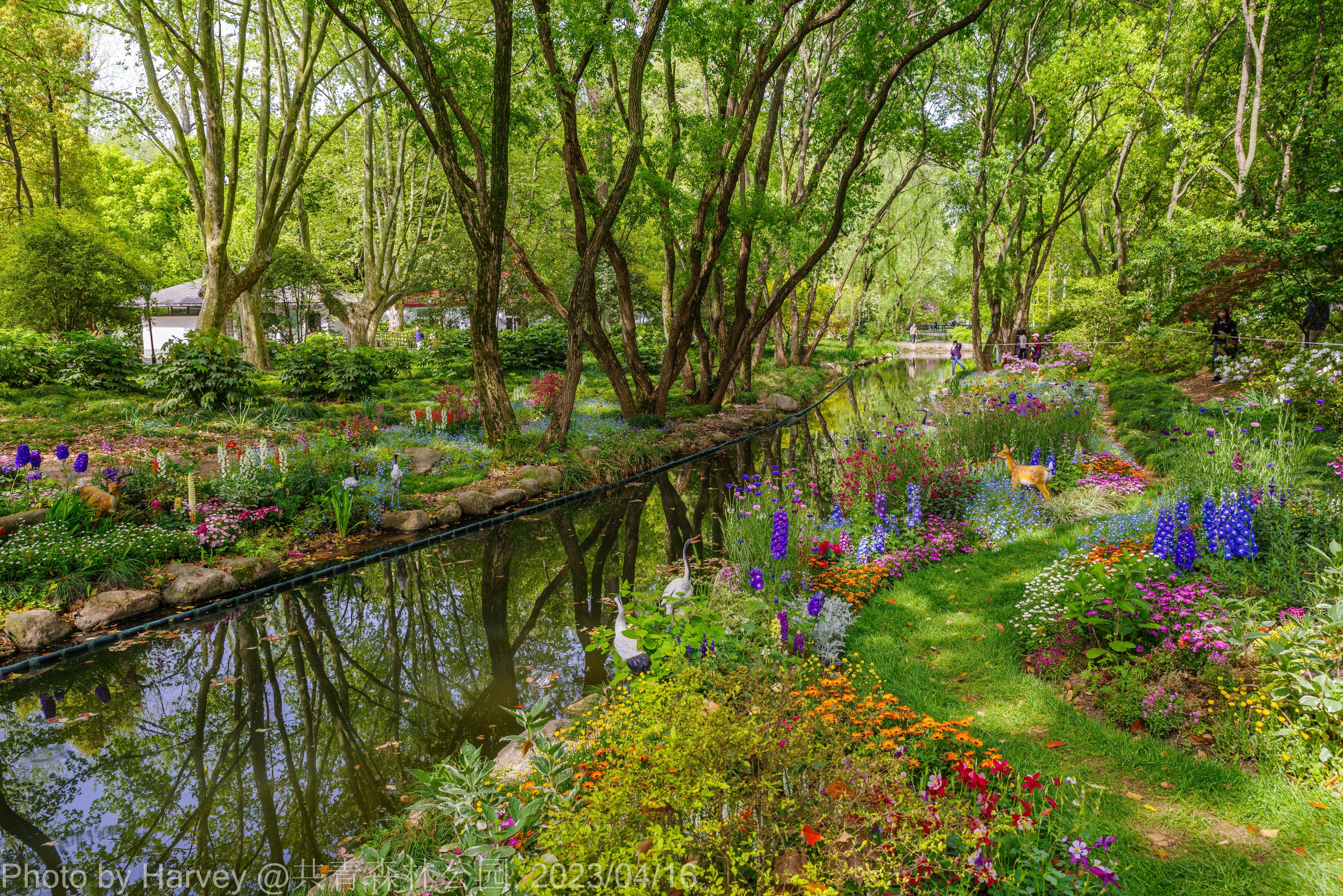 森林最新探索發(fā)現(xiàn)揭秘