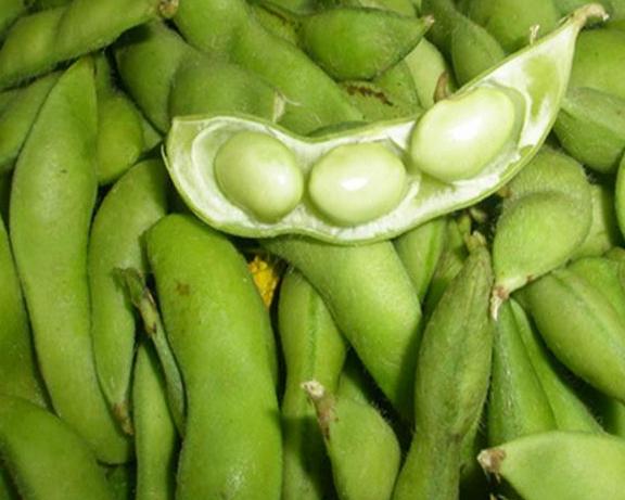 毛豆最新價(jià)格動(dòng)態(tài)解析報(bào)告