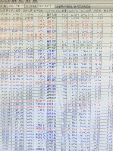 新奧彩資料免費提供,持續(xù)設計解析_T96.985