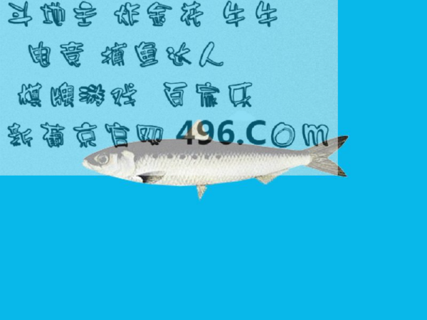 7777788888精準管家婆更新時間,動態(tài)評估說明_MR80.708