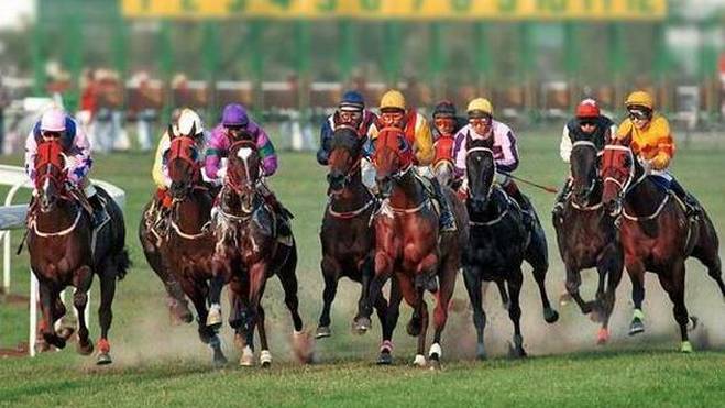 澳門今晚開特馬四不像圖,精準(zhǔn)實(shí)施解析_YE版98.476