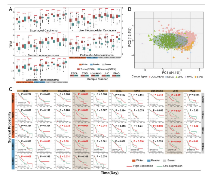 香港最快最精準(zhǔn)免費(fèi)資料,可靠解答解釋定義_粉絲款39.920
