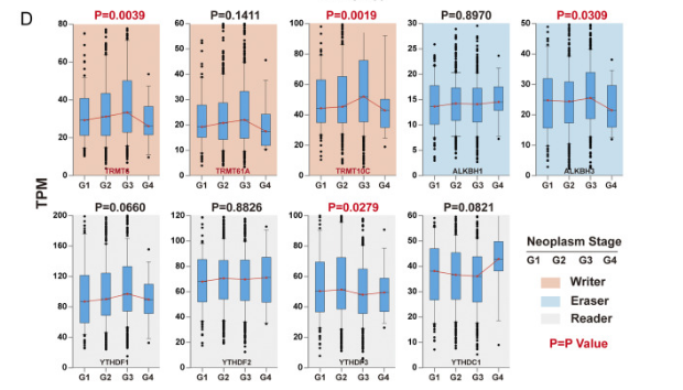 香港最快最精準(zhǔn)免費(fèi)資料,可靠解答解釋定義_粉絲款39.920