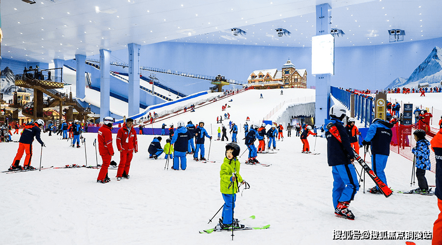 香港正版資料大全免費,深度解答解釋定義_手游版18.962