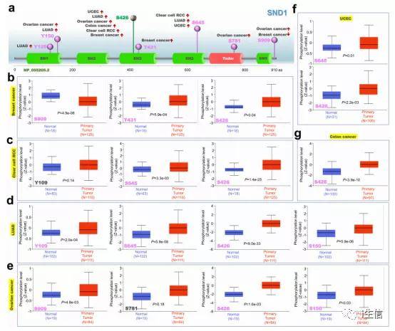 新奧免費(fèi)三中三資料,全面數(shù)據(jù)策略解析_7DM95.693