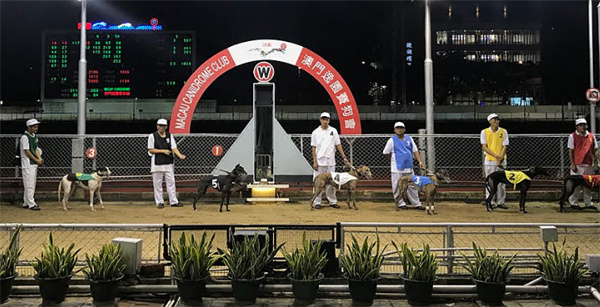 老澳門開獎(jiǎng)結(jié)果2024開獎(jiǎng),高效方案實(shí)施設(shè)計(jì)_安卓款23.661