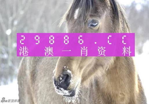 澳門精準(zhǔn)一笑一碼100%,高效分析說明_冒險款82.437