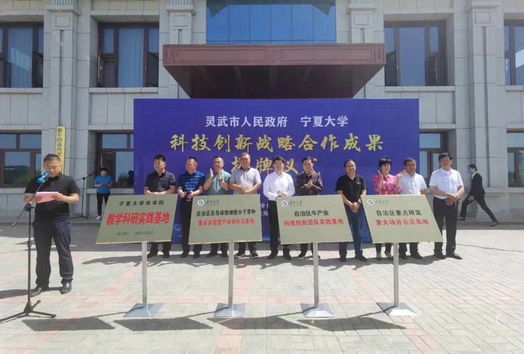 新澳最新最快資料,高效性計劃實(shí)施_LT33.360