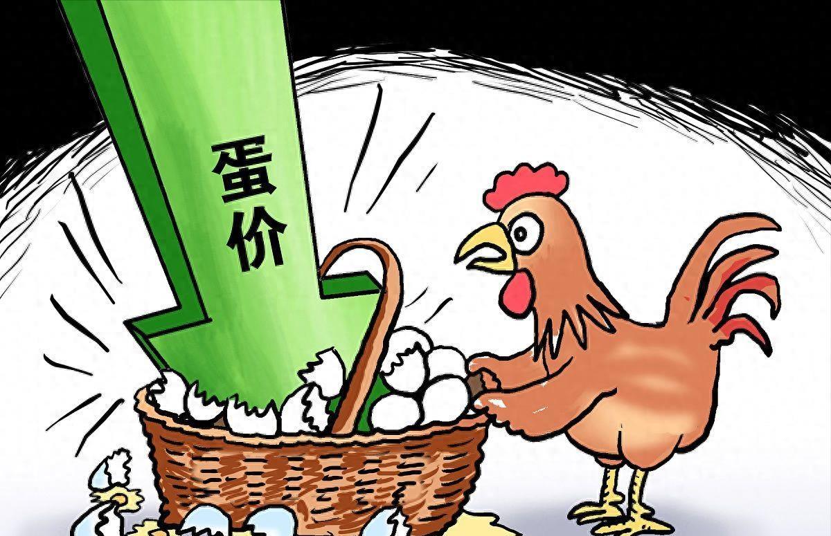 大姜最新價格動態(tài)解析與趨勢預測