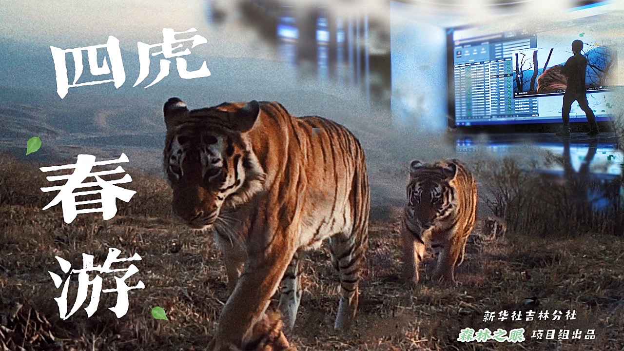 探索最新四虎網(wǎng)站，特色與價值揭秘