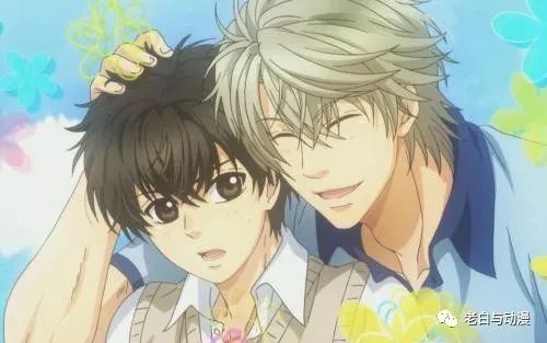 最新耽美動(dòng)漫的探討與觀察，深度解析其趨勢(shì)與魅力