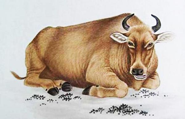 四不像正版+正版四不像,實地考察數(shù)據(jù)應(yīng)用_Console97.489